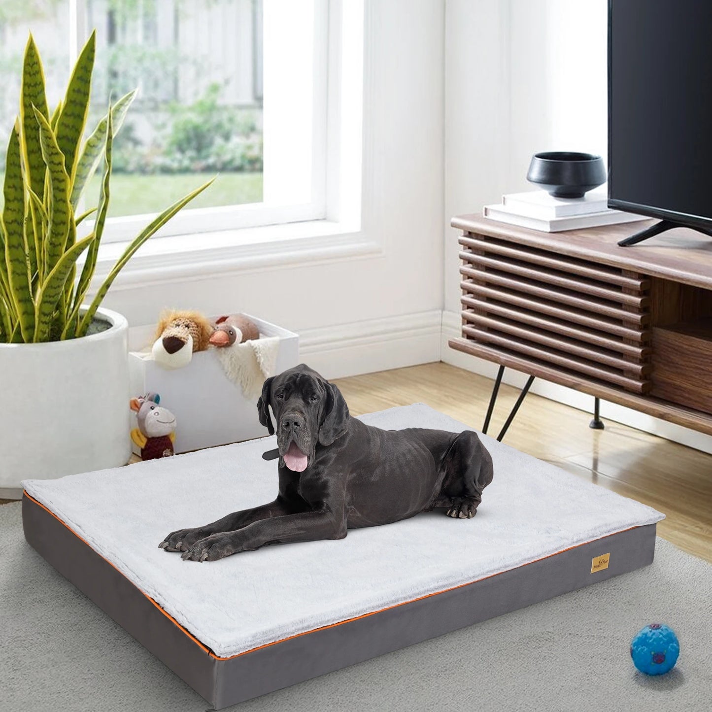 Dog Pet Bed Large Padded Orthopedic Foam Cushion with Washable Cover
