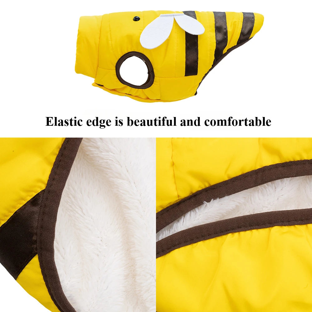 Dog clothes cat clothes bee four seasons warm pet waterproof clothes