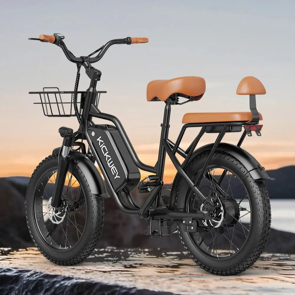LD20 Electric bike 1500W Motor 48V20AH Removable Battery Dual Disc Brake 20×4 Inch Fat Tire Snow