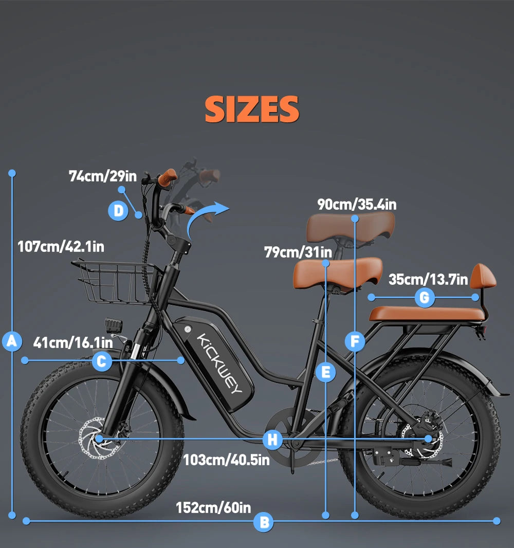 LD20 Electric bike 1500W Motor 48V20AH Removable Battery Dual Disc Brake 20×4 Inch Fat Tire Snow