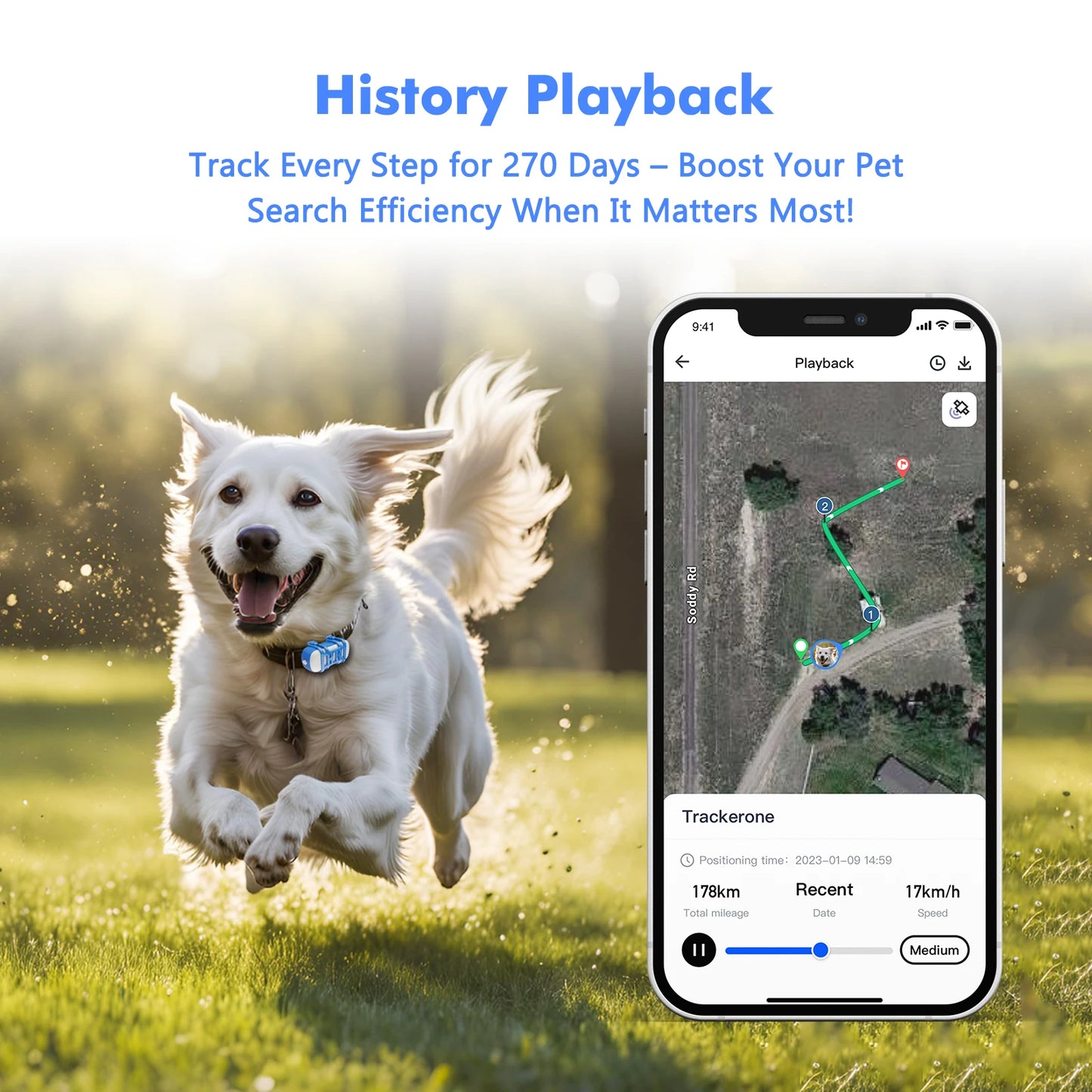4G Dog Cat GPS Tracker for Pets - Waterproof Smart Locator with App, Live Tracking & Search,
