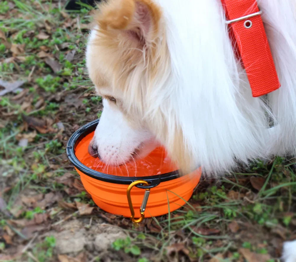 Collapsible Pet Silicone Dog Food Water Bowl Camping Travel Folding ,Carabiner Pet Supplies