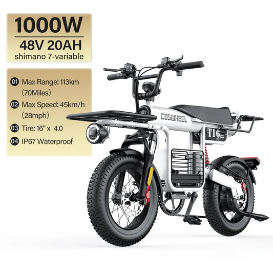 Electric Bike CT20S 2000W Motorcyle 20 Inch Fat Tire ,60V 27.5AH Bikes Adult