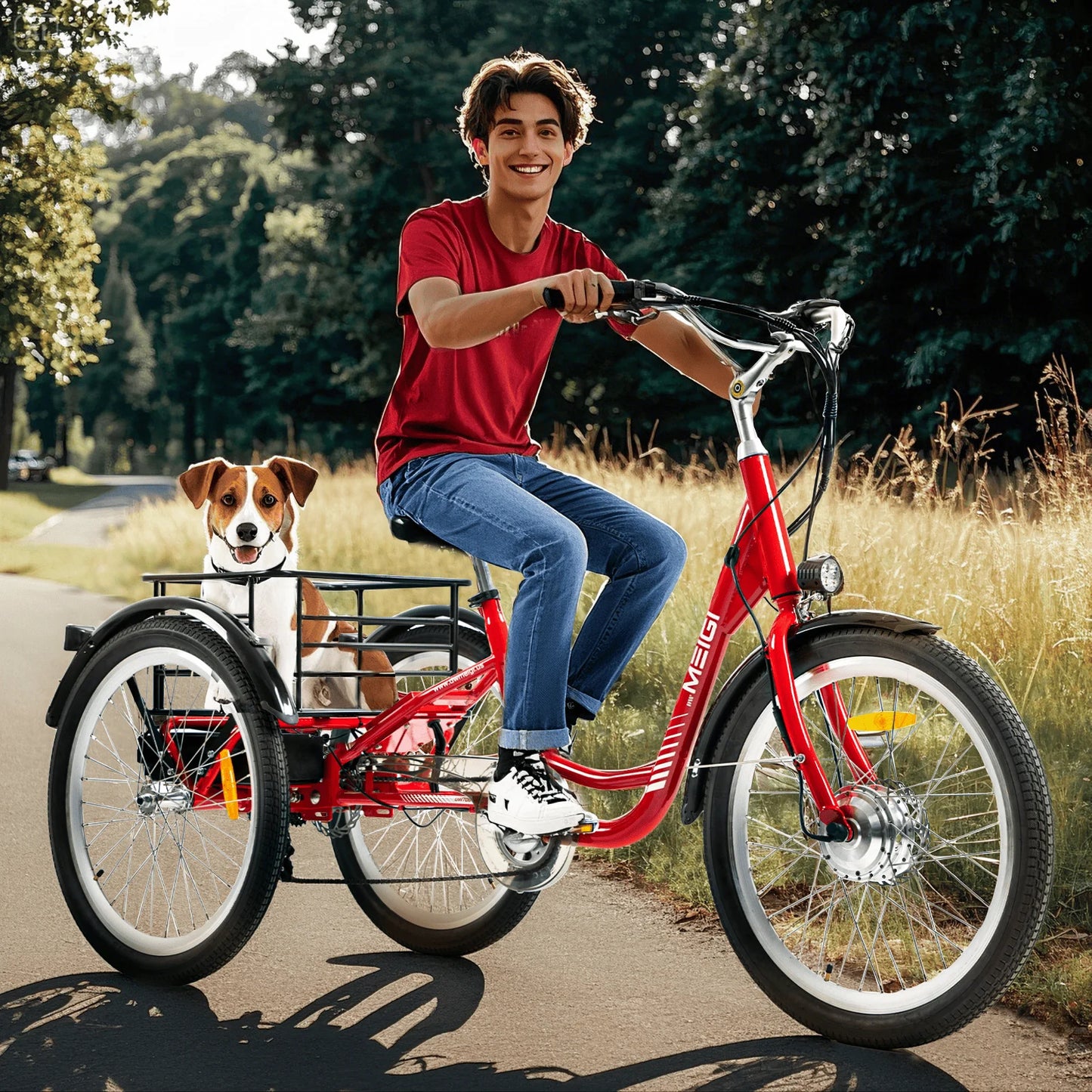 3 Wheel Electric Cargo Tricycle, Powerful Strong 750W Peak Motor 36V 24 Inch Tire Men or Women