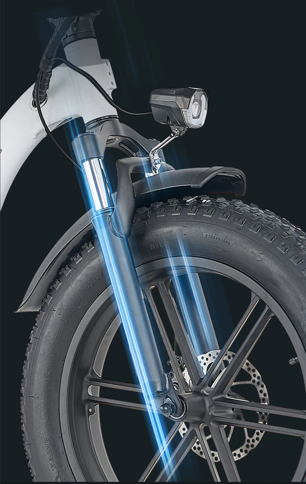 L20 Folding E-Bicycle 1000w Motor 48V Removable Battery ,Adult 20 Inch Fat Tire Foldable E Bike