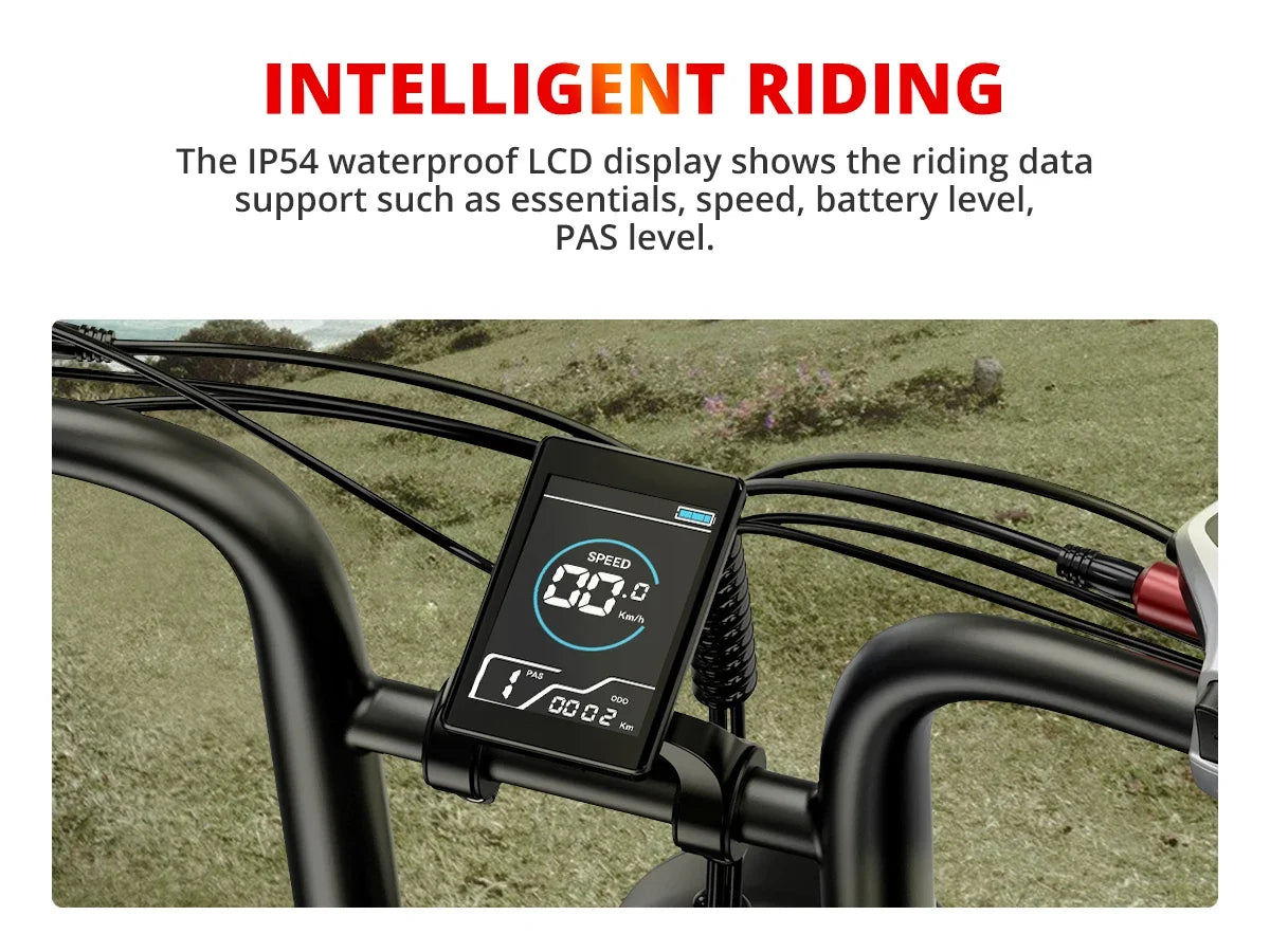 Ebike S8 2000W dual motor 48V 25AH 20-inch fat tires, front, rear shock absorption, with pedals.