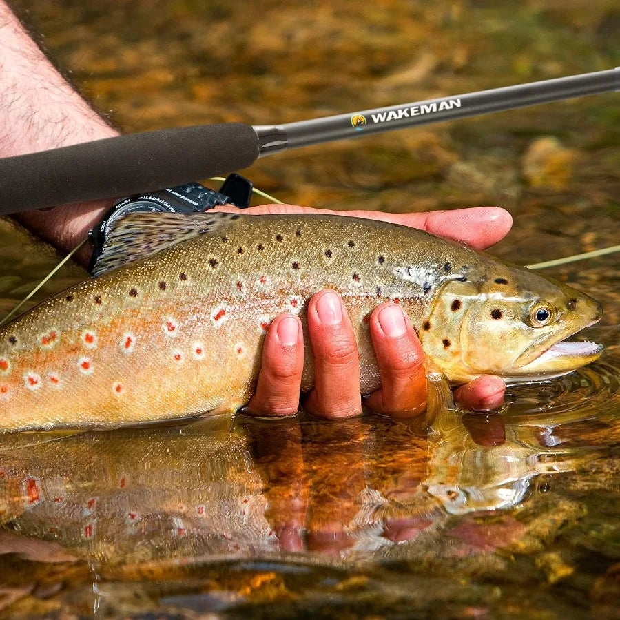 Fly Fishing Rod,Reel Combo, Carrying Case Flies, Fishing Line Angling Adventures,Charter Series