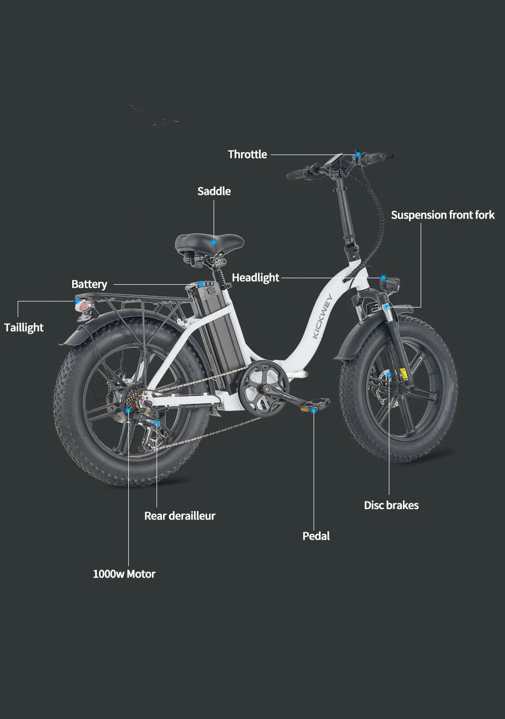 L20 Folding E-Bicycle 1000w Motor 48V Removable Battery ,Adult 20 Inch Fat Tire Foldable E Bike
