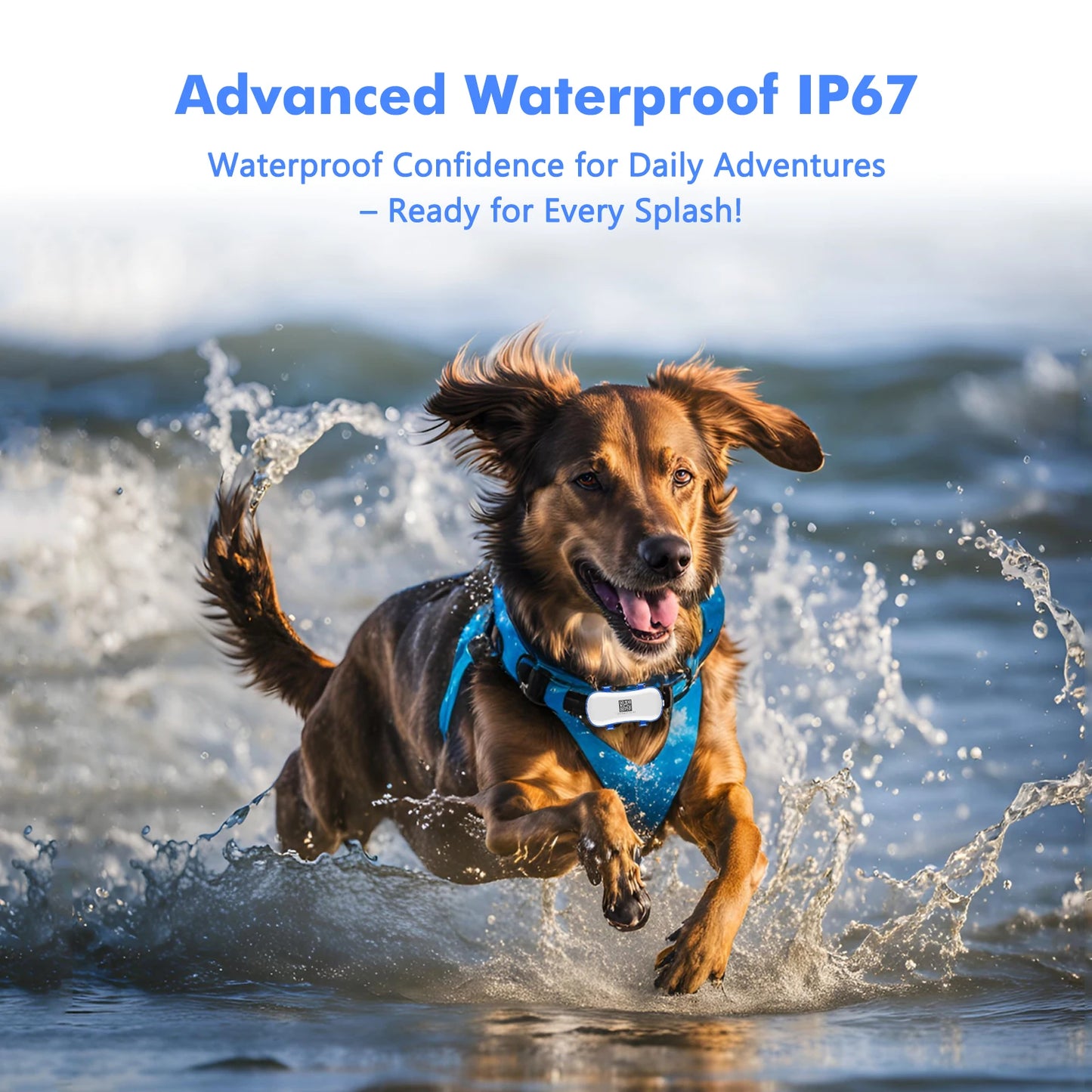 4G Dog Cat GPS Tracker for Pets - Waterproof Smart Locator with App, Live Tracking & Search,