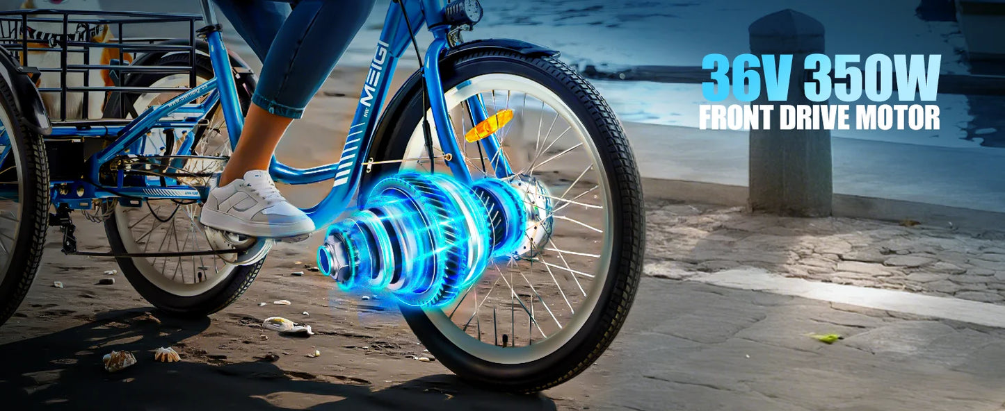 3 Wheel Electric Cargo Tricycle, Powerful Strong 750W Peak Motor 36V 24 Inch Tire Men or Women