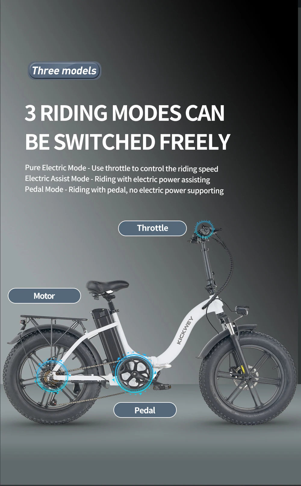 L20 Folding E-Bicycle 1000w Motor 48V Removable Battery ,Adult 20 Inch Fat Tire Foldable E Bike