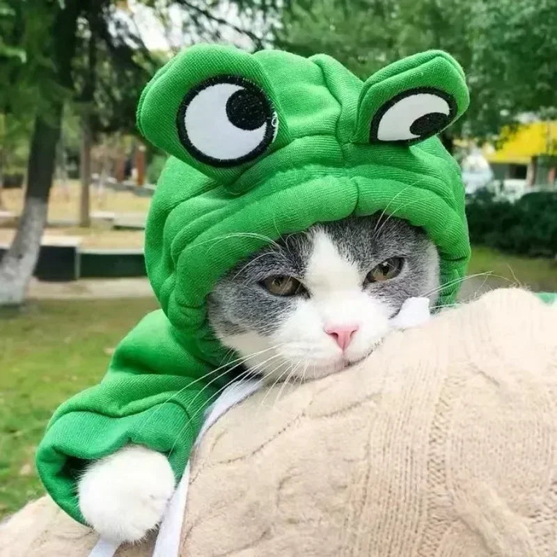 Dog Frog Costume, Dog Hoodies Warm Puppy Autumn Winter Apparel Jumpsuit with Eye Hood
