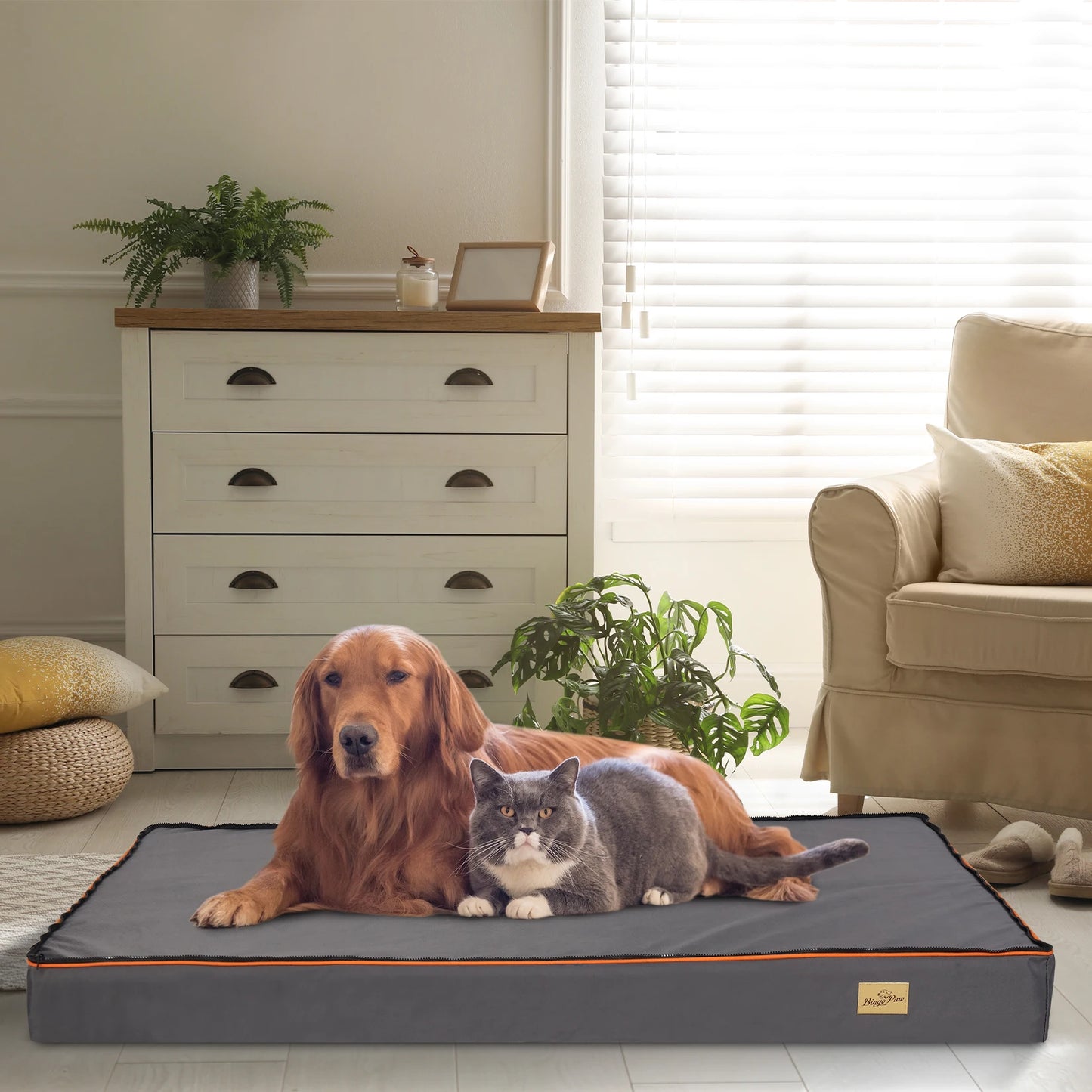 Dog Pet Bed Large Padded Orthopedic Foam Cushion with Washable Cover