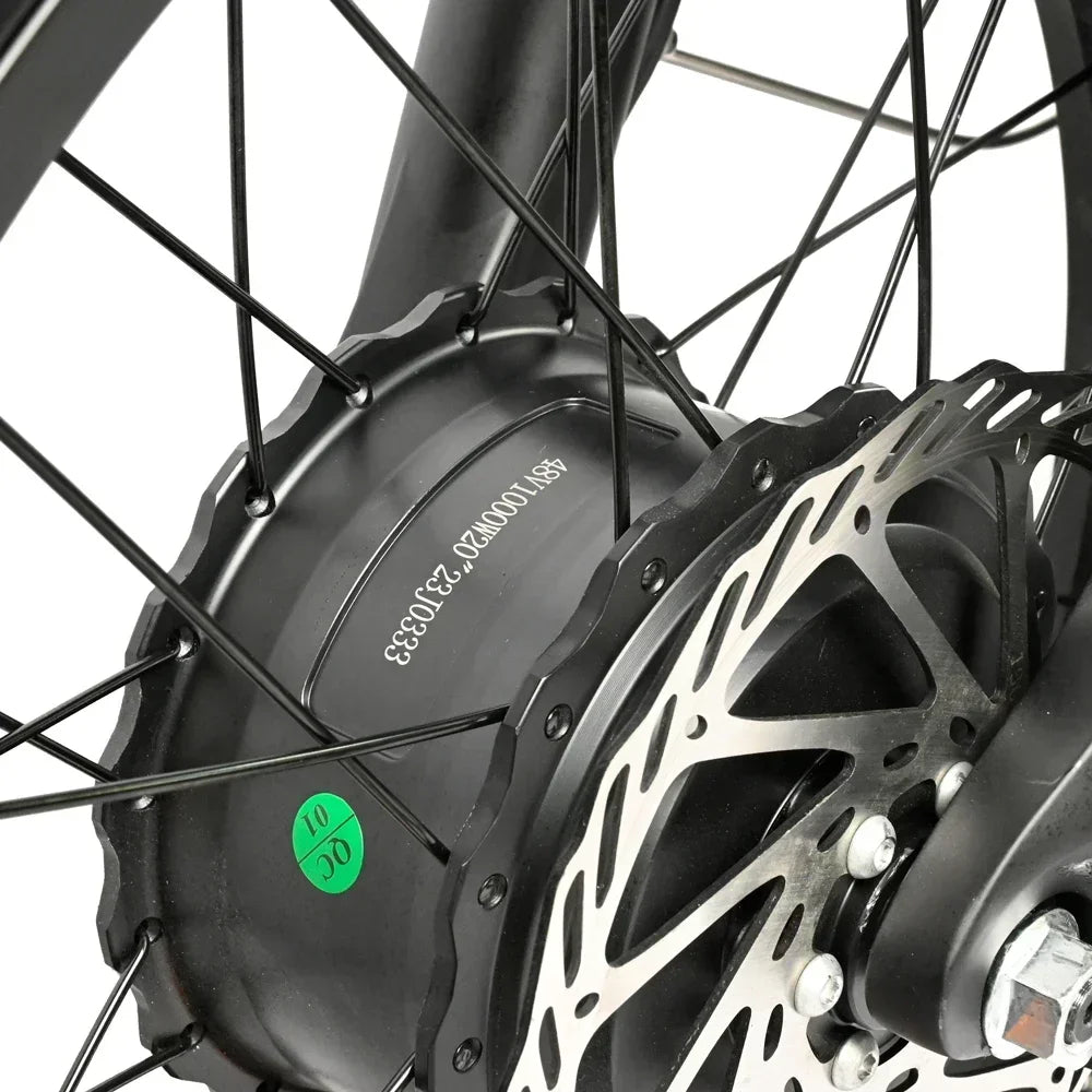 Electric bicycle 2000W 48V 30AH battery adult 20-inch tire Multi functional all terrain E-bike