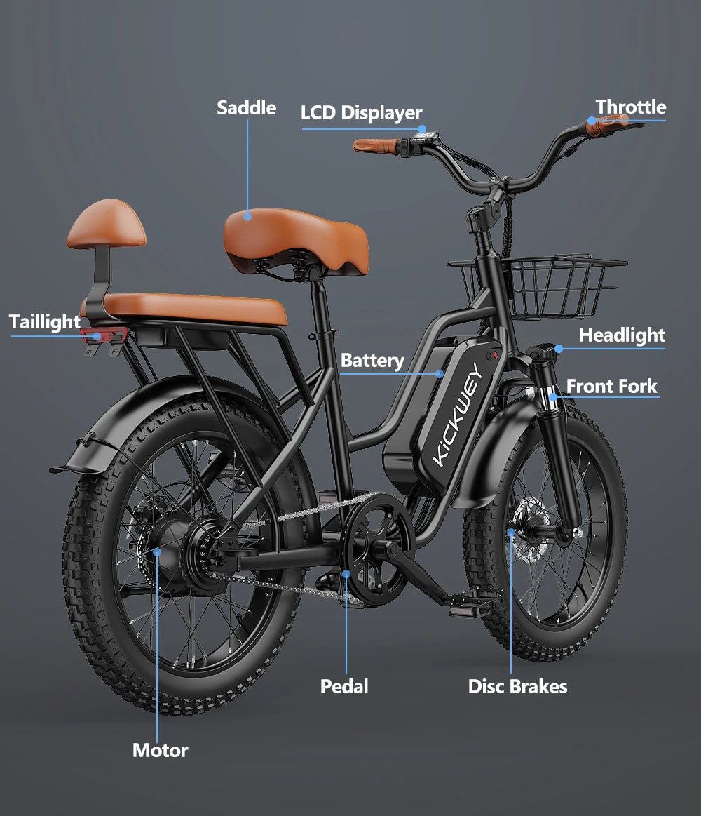 LD20 Electric bike 1500W Motor 48V20AH Removable Battery Dual Disc Brake 20×4 Inch Fat Tire Snow