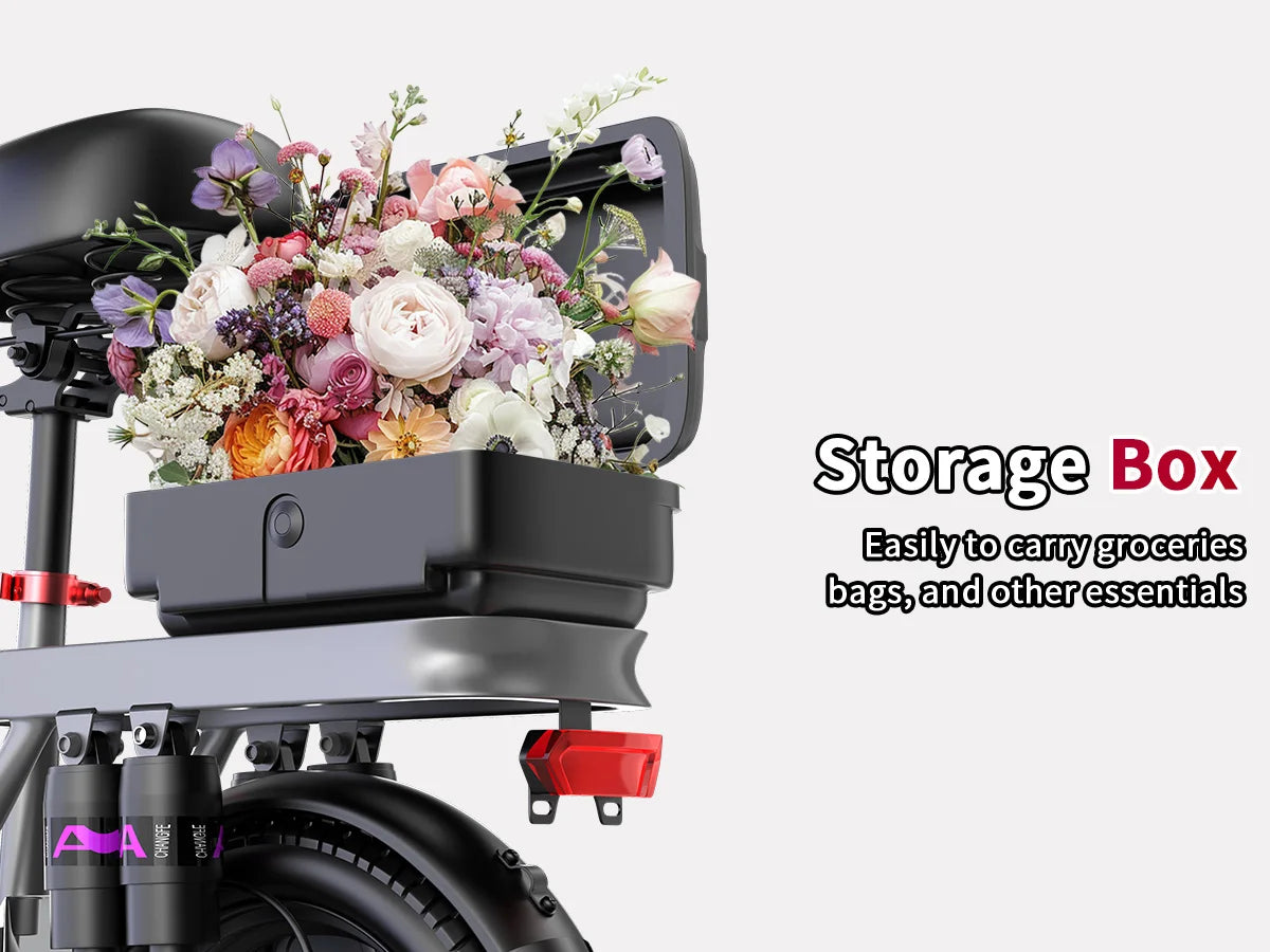Folding Electric Scooter, 700W Peak Motor 48V 17.5Ah 300lbs Max Load,10 Full Shock Foldable