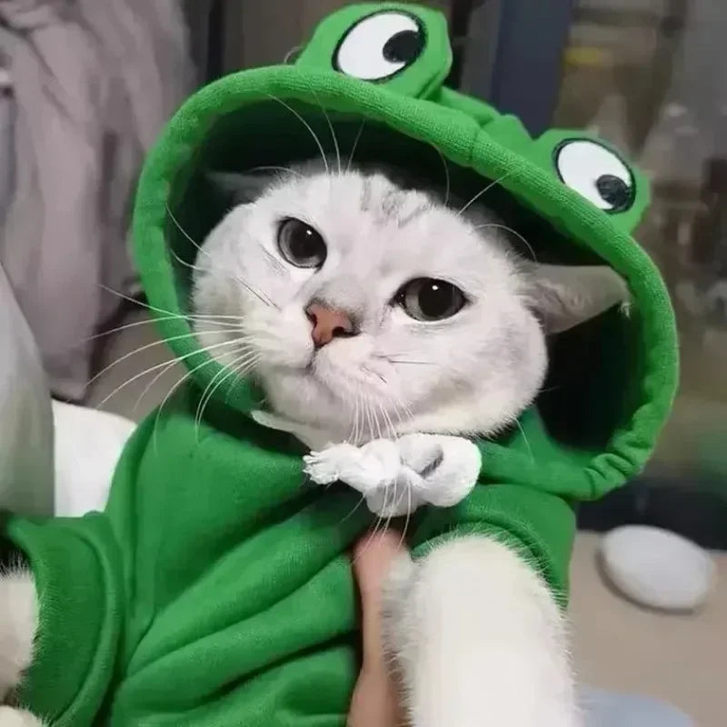 Dog Frog Costume, Dog Hoodies Warm Puppy Autumn Winter Apparel Jumpsuit with Eye Hood