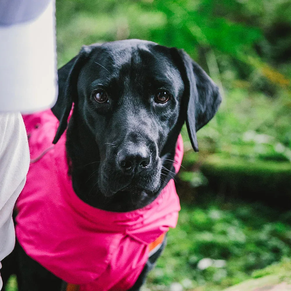 Dog Coats Small Waterproof,Warm Outfit Clothes,Adjustable Drawstring Warm And Cozy Dog Sport Vest