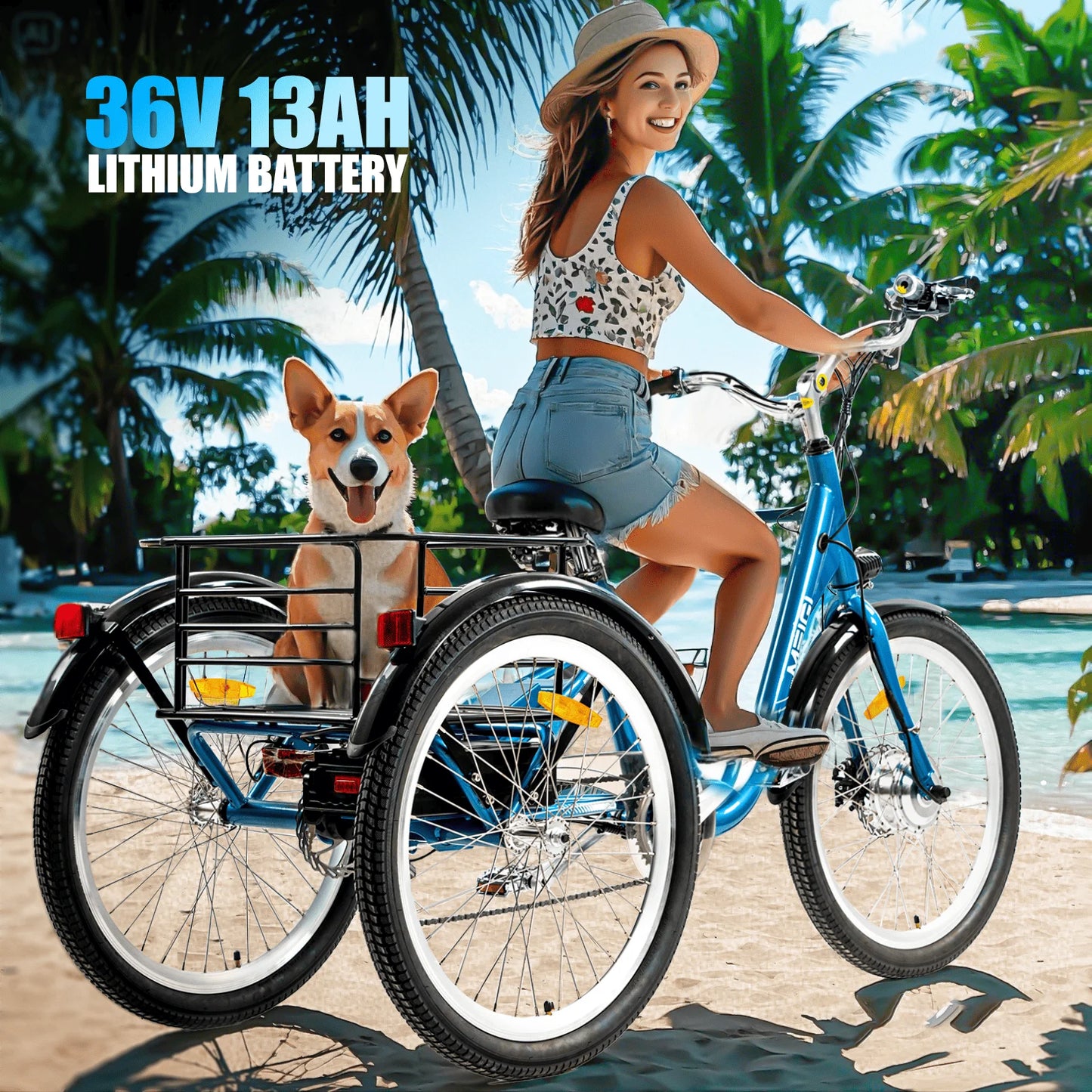 3 Wheel Electric Cargo Tricycle, Powerful Strong 750W Peak Motor 36V 24 Inch Tire Men or Women