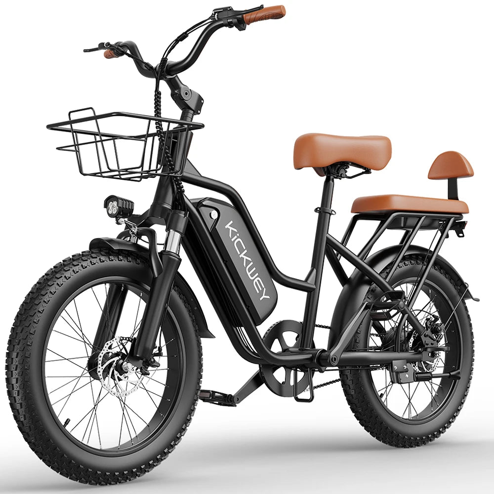 LD20 Electric bike 1500W Motor 48V20AH Removable Battery Dual Disc Brake 20×4 Inch Fat Tire Snow