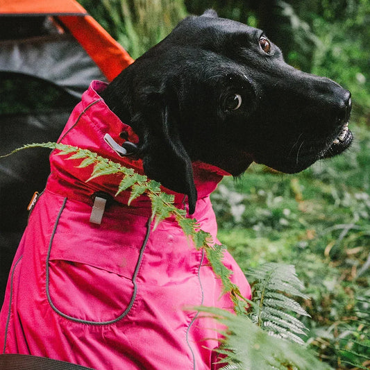 Dog Coats Small Waterproof,Warm Outfit Clothes,Adjustable Drawstring Warm And Cozy Dog Sport Vest