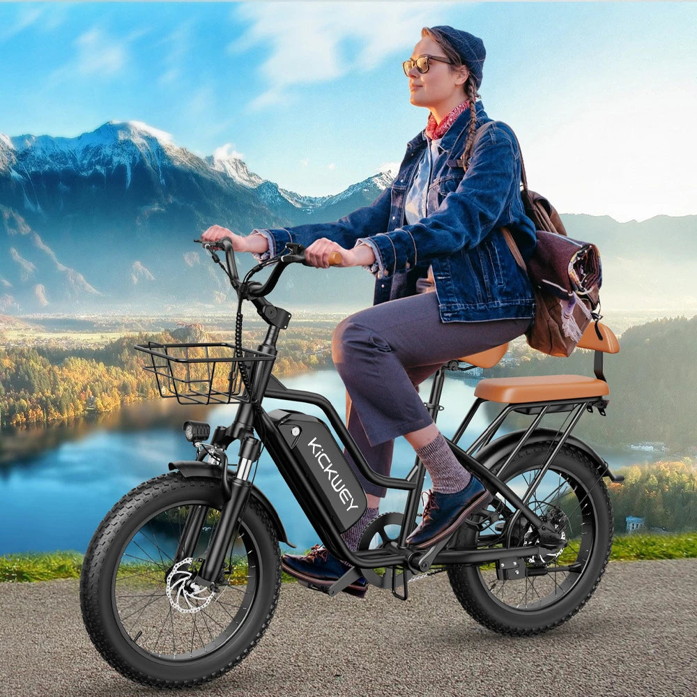LD20 Electric bike 1500W Motor 48V20AH Removable Battery Dual Disc Brake 20×4 Inch Fat Tire Snow