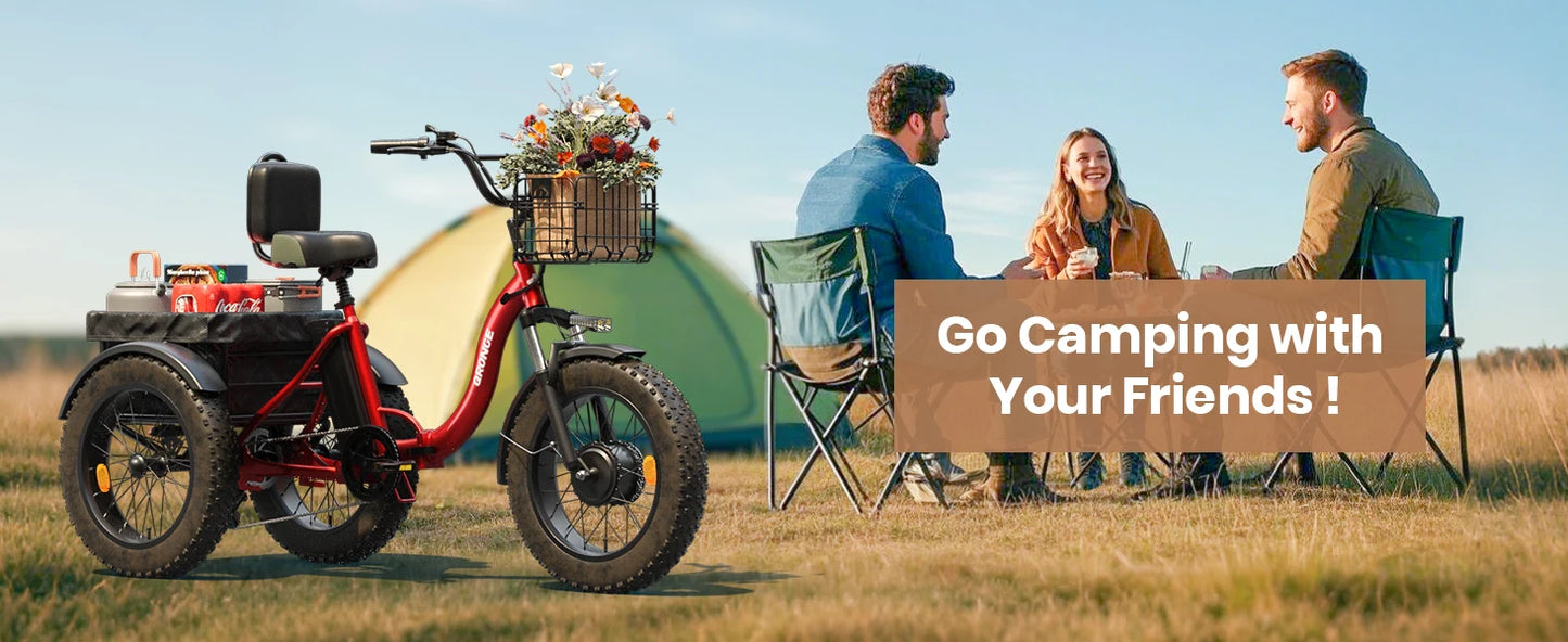E-tricycle/Bike, Adults 960W Peak 36V 13.5AH Battery Folding 50 Miles Range Fat Tire,carry goods