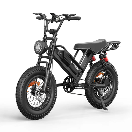 Mountain E-Bike , 20" Fat Tire Wider Seat 750W Peak Motor, Removable Battery, 4X Suspension