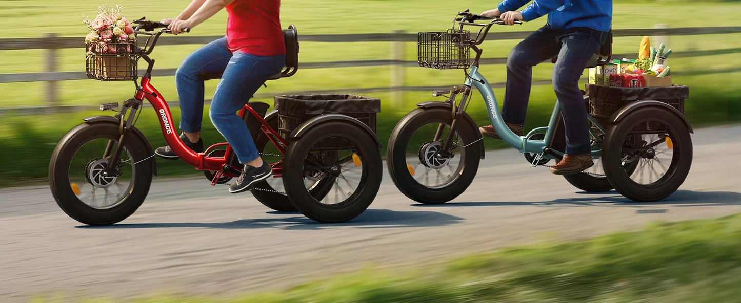 E-tricycle/Bike, Adults 960W Peak 36V 13.5AH Battery Folding 50 Miles Range Fat Tire,carry goods