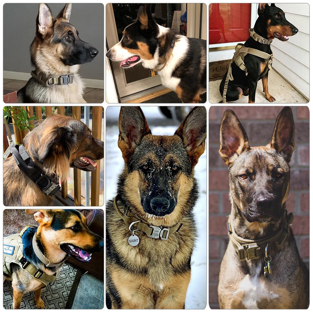 Dog Training,Adjustable,tactical Taining Pet Lead Collar Small /Big dogs