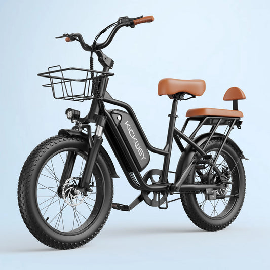 LD20 Electric bike 1500W Motor 48V20AH Removable Battery Dual Disc Brake 20×4 Inch Fat Tire Snow