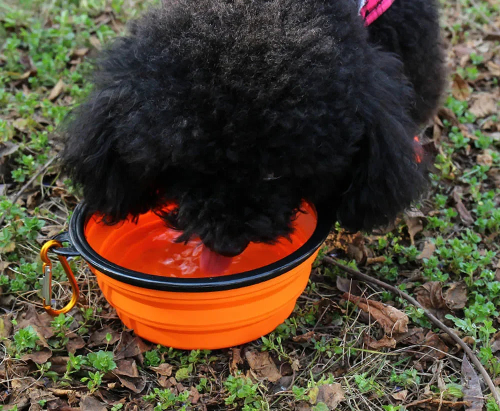 Collapsible Pet Silicone Dog Food Water Bowl Camping Travel Folding ,Carabiner Pet Supplies