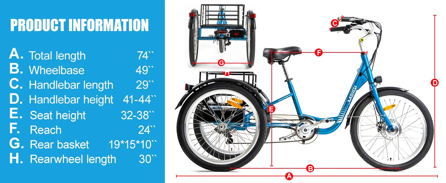 3 Wheel Electric Cargo Tricycle, Powerful Strong 750W Peak Motor 36V 24 Inch Tire Men or Women
