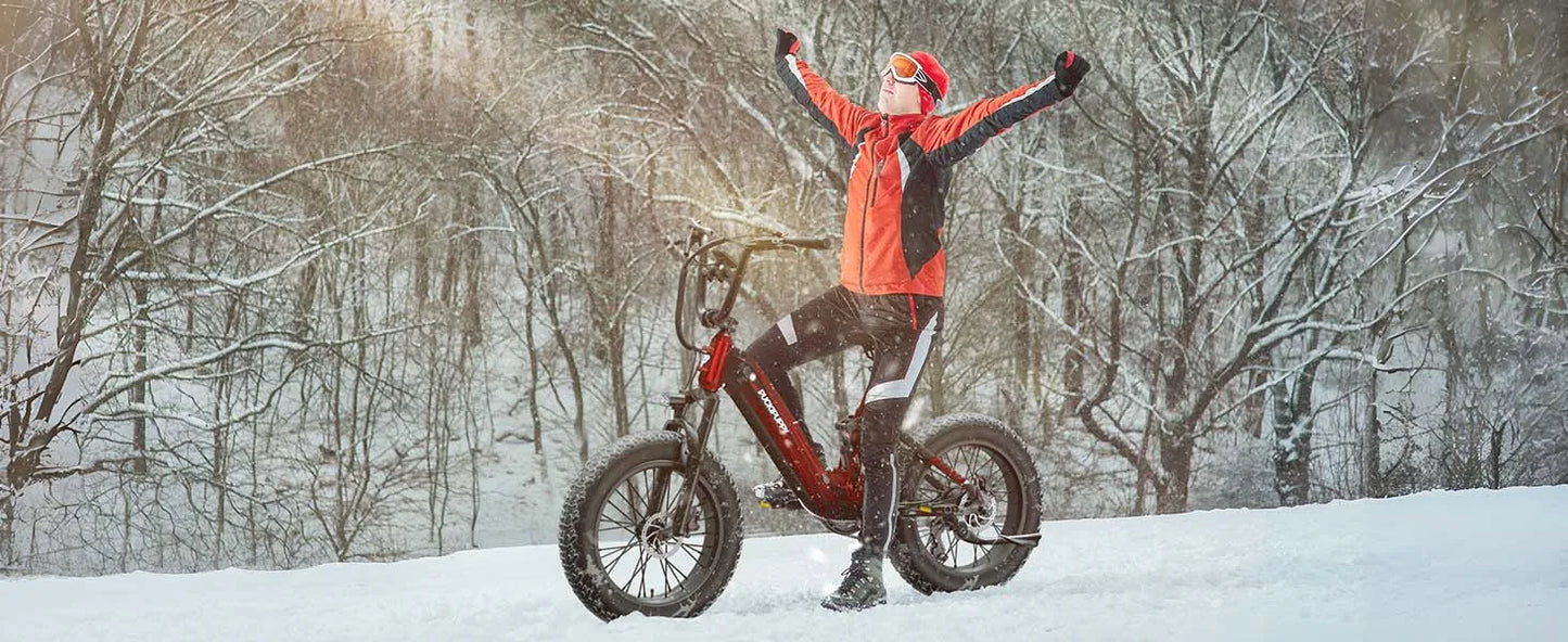 PUCKIPUPPY Corgi E-Bike Mountain20'' Fat Tire 960W 48V 20Ah Full Suspension, 2-Year Warranty