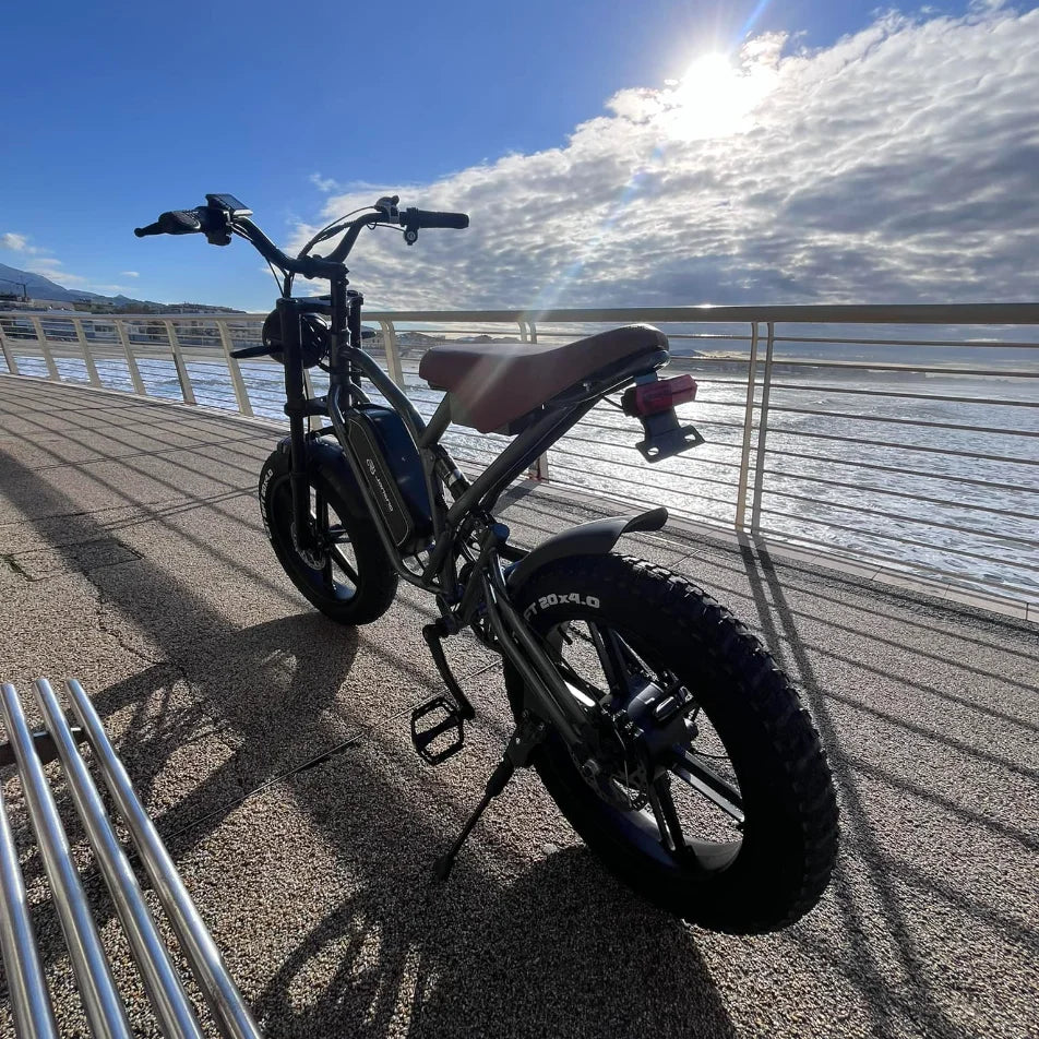 jansno x50 Adult Electric Bike 750W Motor  48V 14AH 20 Inch Tire Mountain Off-Road Motorcycle