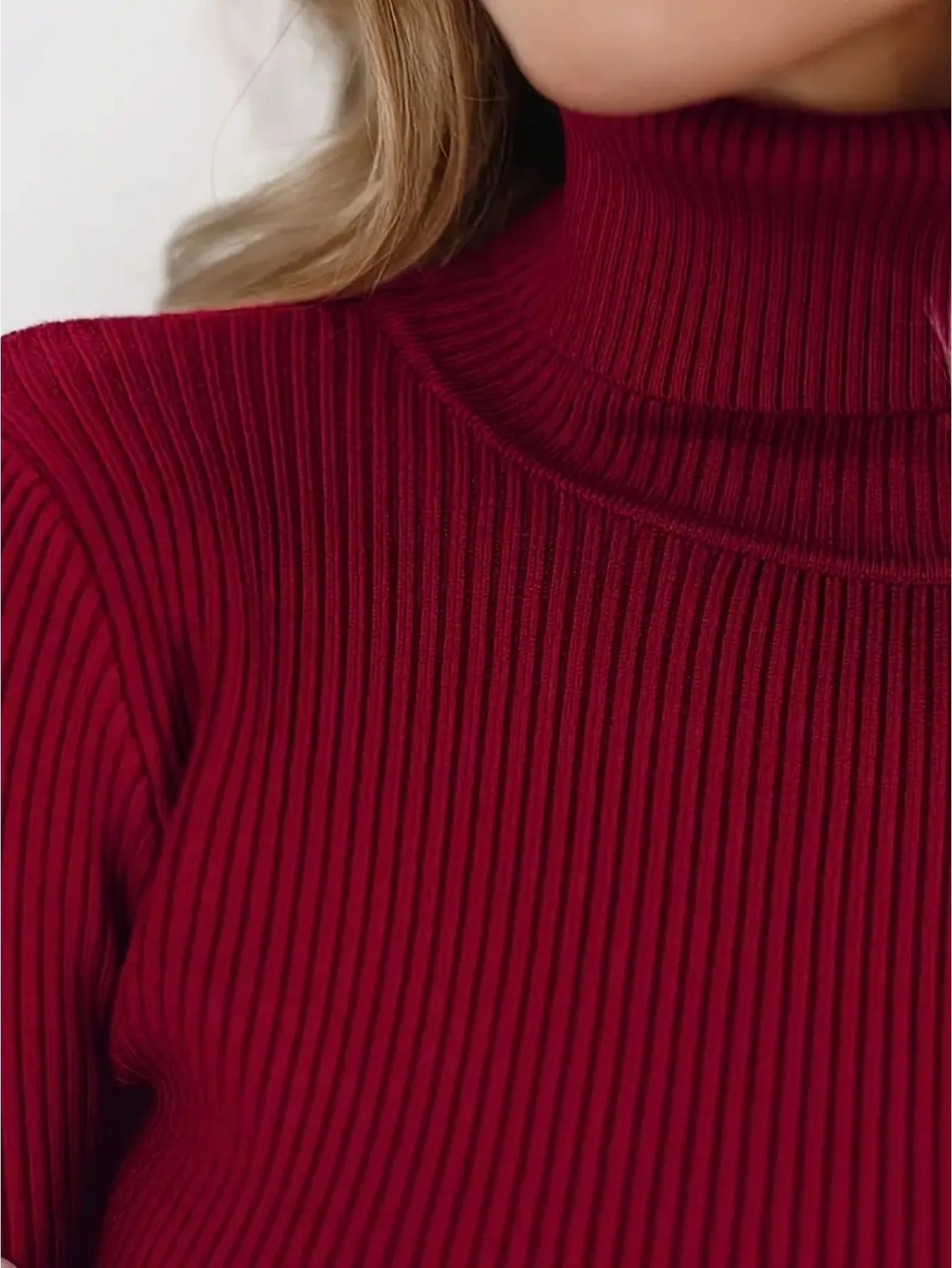 New Elegant Style Simplicity High Collar Solid Color Regular Sleeve Sweater Pullover