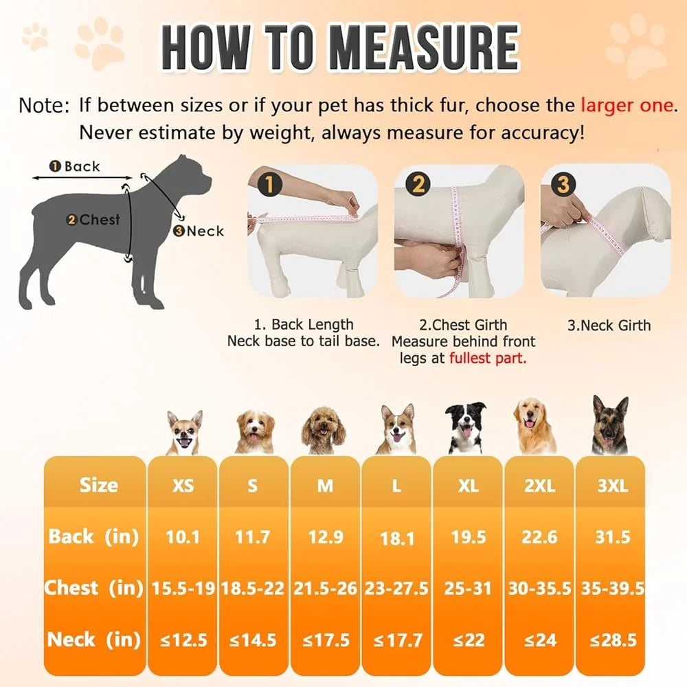 Dog Raincoat Adjustable Waterproof, Transparent Hood Reflective Straps Small Medium Rain Gear