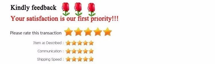 PAGANI Men's Mechanical Watch - Sapphire Crystal, Stainless Steel, Waterproof Stylish Wristwatch