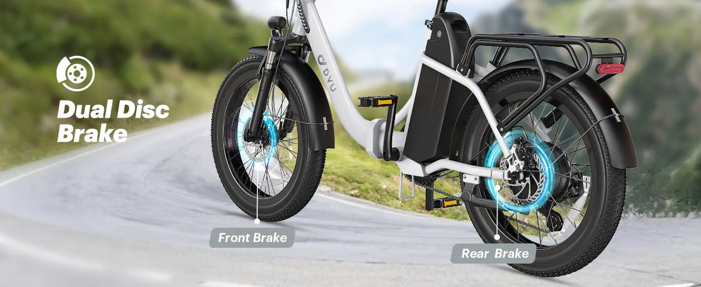 E-Bicycle Peak 1000W Motor 48V15.6AH Lithium Battery Hdraulic Brake 20*3.0 Inch Fat Tire
