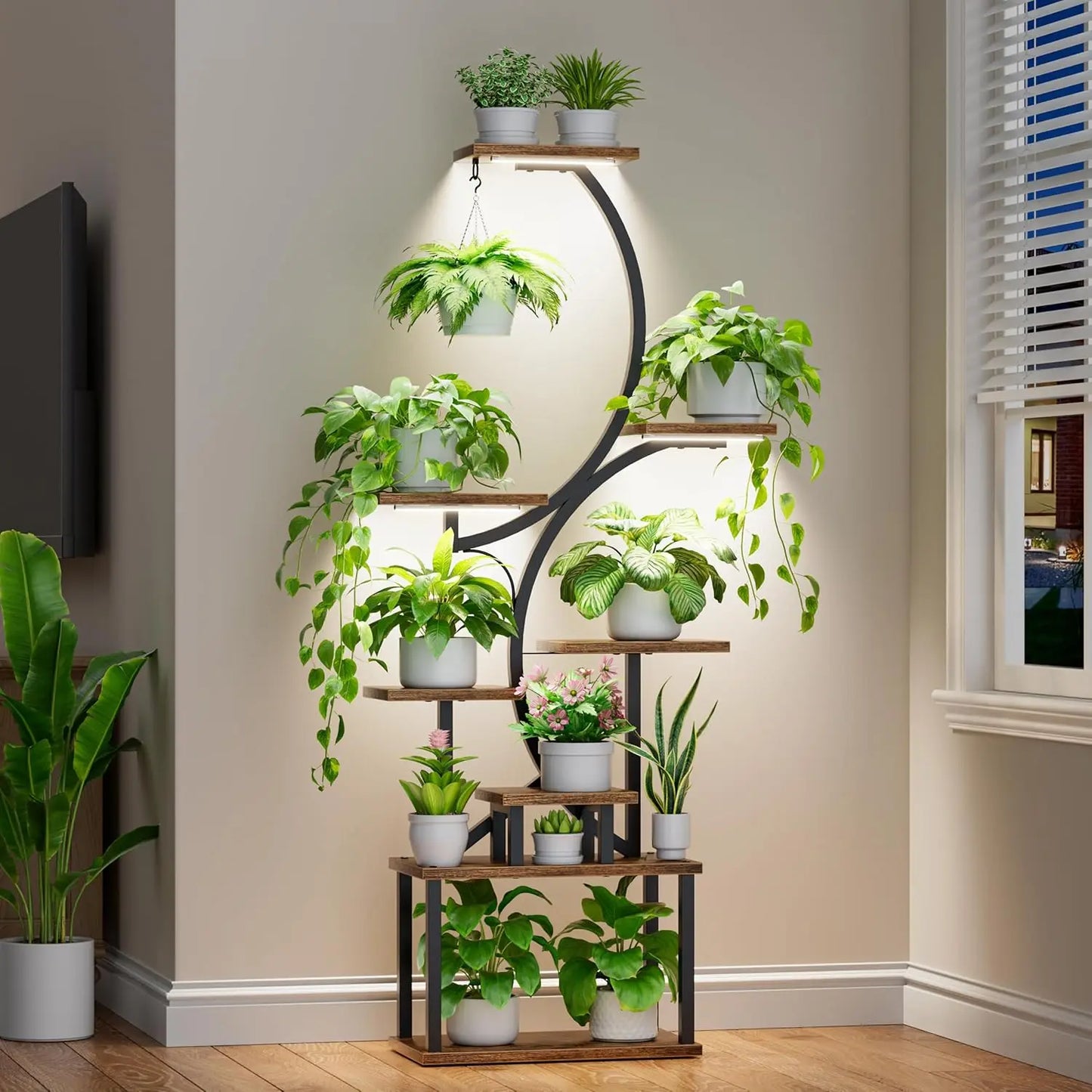 Indoor Plant Stand Grow Lights 62 Inch Tall, 8 Tier Lighted Corner Shelf  Plants,flowers