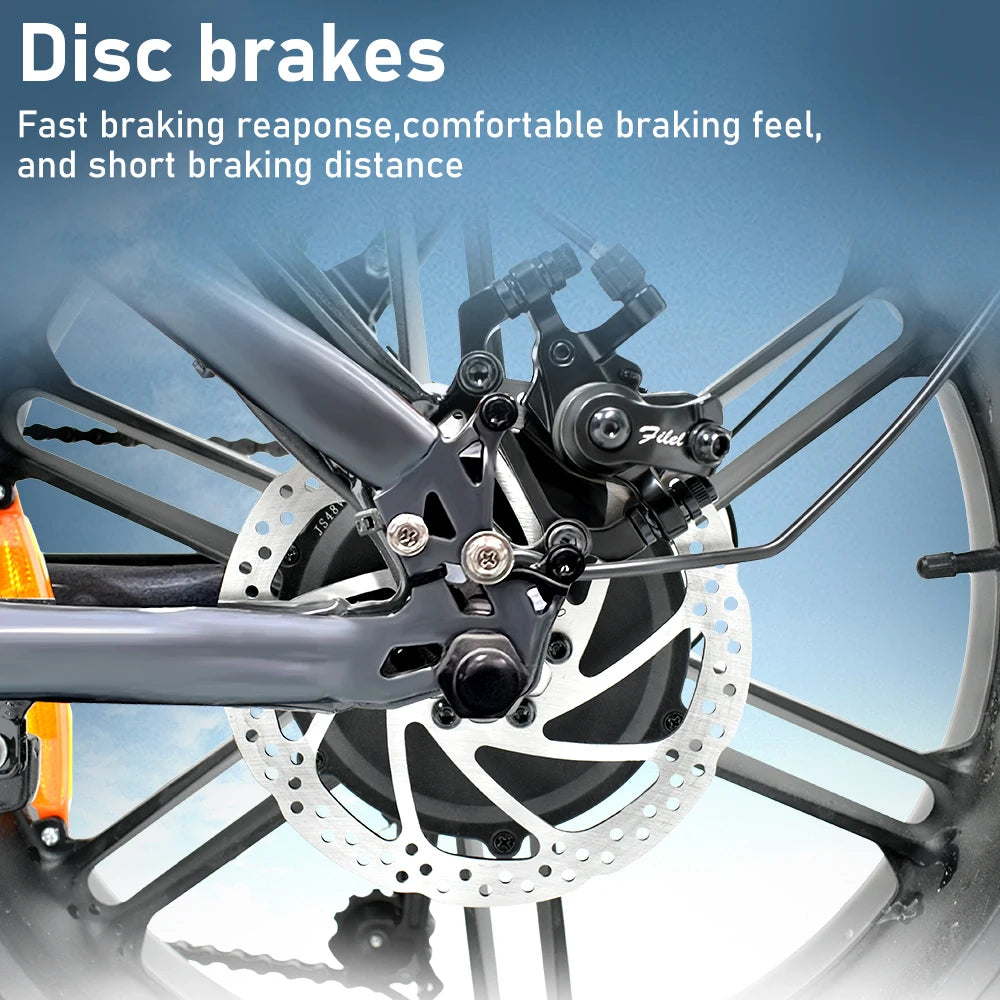 E-Bike QS7 1000W 48V 60AH 20 Inch Fat Tire, Adults Mountain Off-Road Dual Batteries E-Bicycle