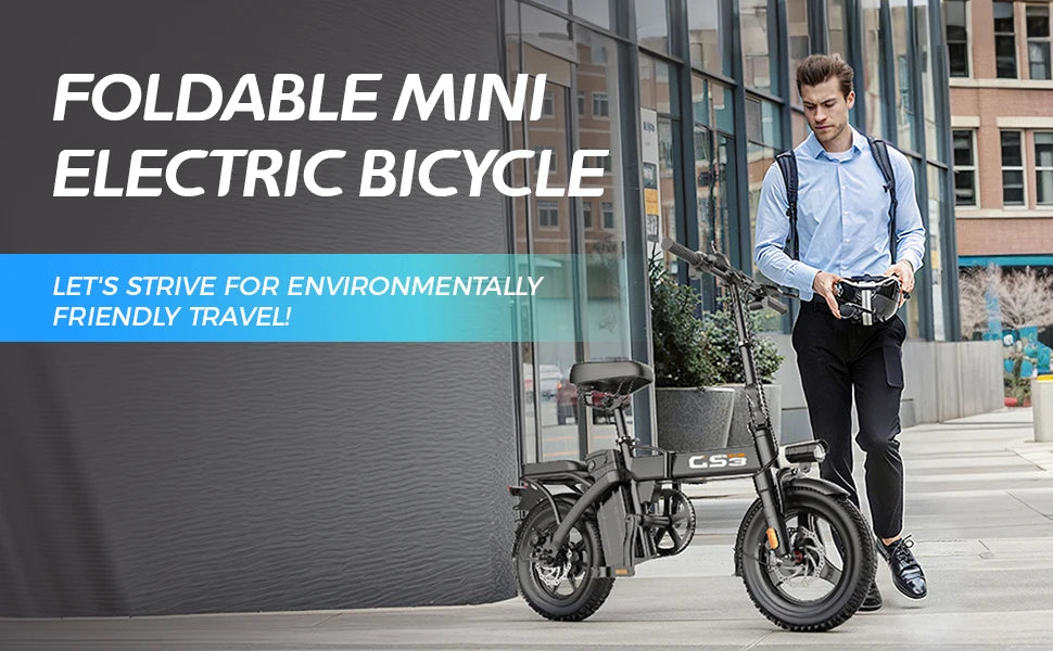 GS3 E-Bike 48V 15AH 500W Motor,20KM/H Max Speed Motorcycle Style E-bike