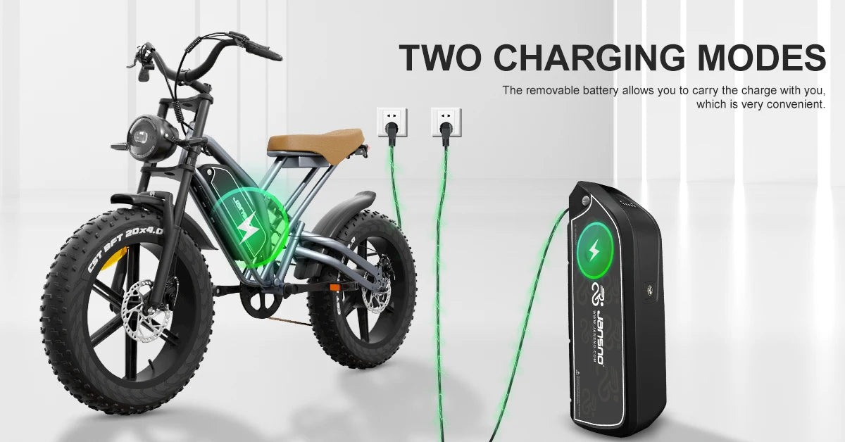 jansno x50 Adult Electric Bike 750W Motor  48V 14AH 20 Inch Tire Mountain Off-Road Motorcycle