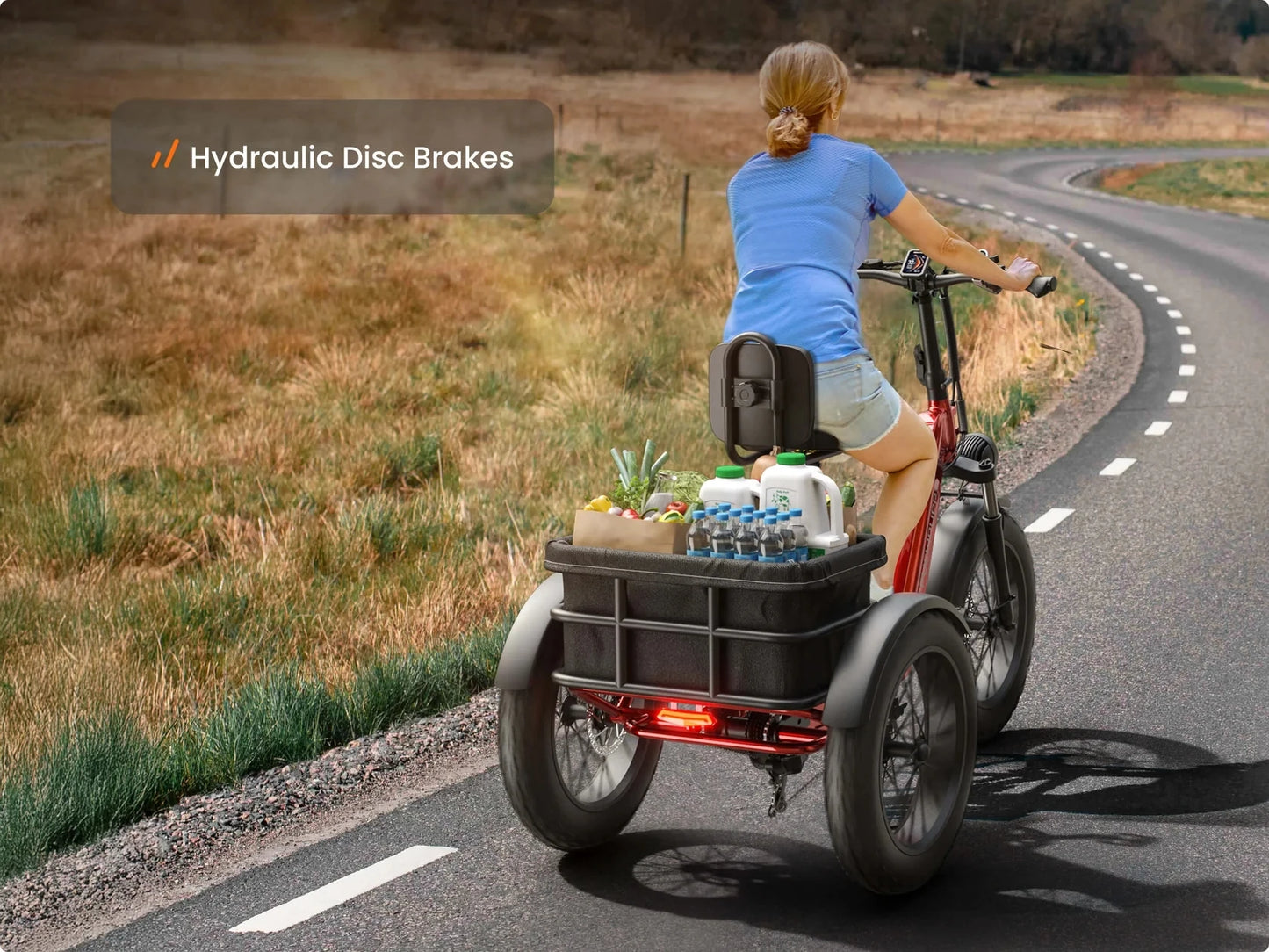 Husky Electric Trike, Adult 960W Peak Motor 60 Miles Range, 500 Lbs Load E-Trike 2-Year Warranty