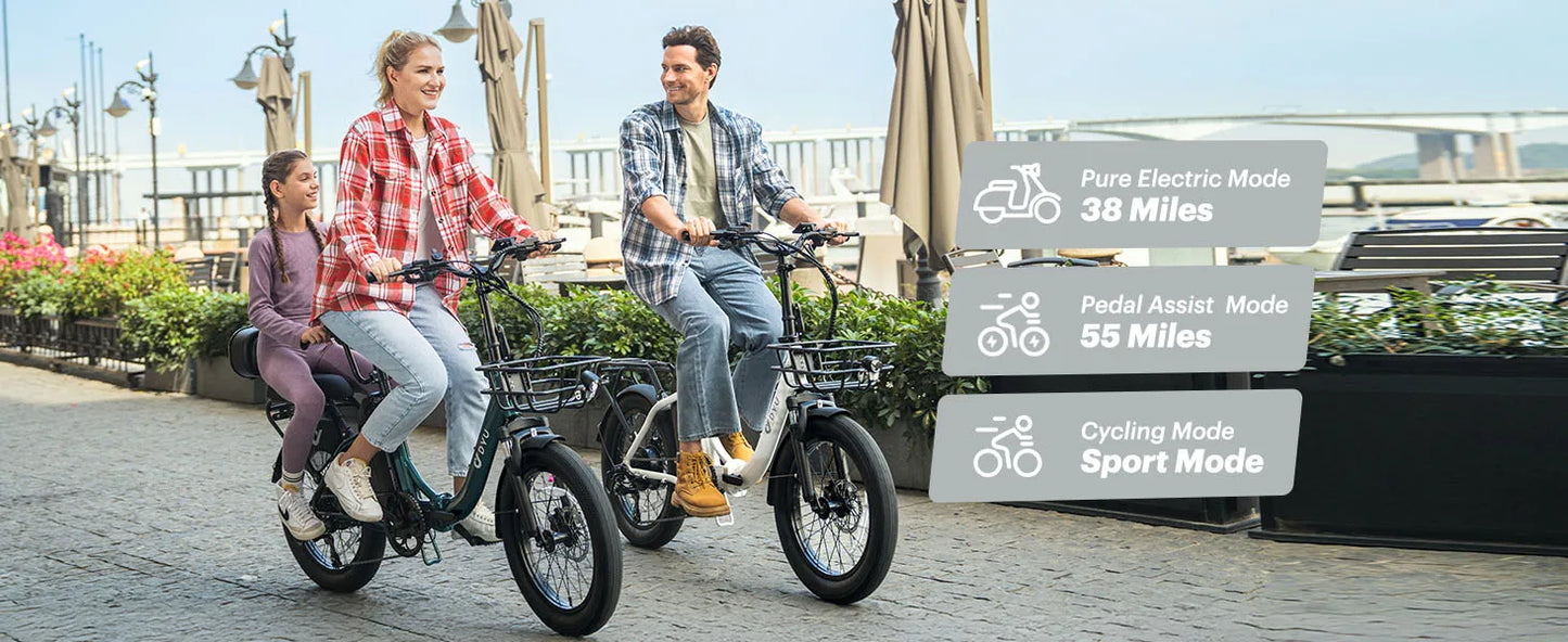 E-Bicycle Peak 1000W Motor 48V15.6AH Lithium Battery Hdraulic Brake 20*3.0 Inch Fat Tire