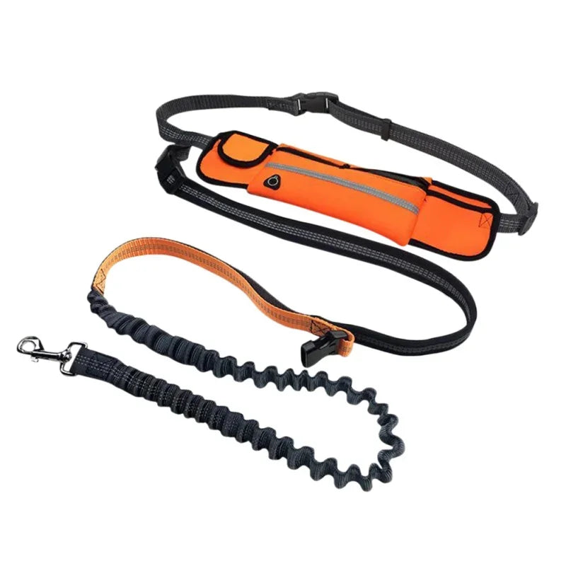 Hands Free Dog Leash with Zipper Pouch Reflective Bungee for Medium to Large Dogs Walking Jogging and Running