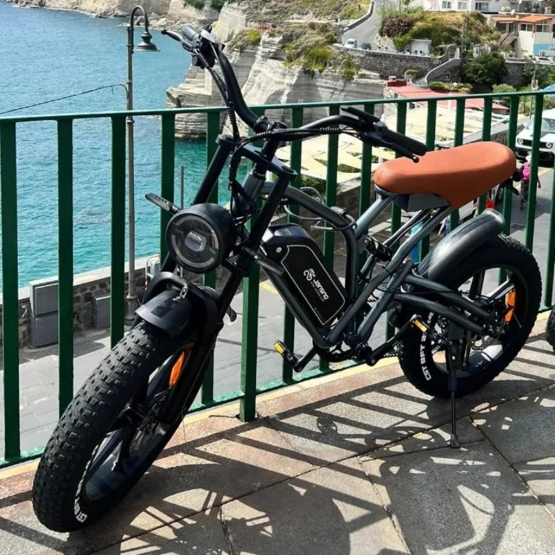jansno x50 Adult Electric Bike 750W Motor  48V 14AH 20 Inch Tire Mountain Off-Road Motorcycle