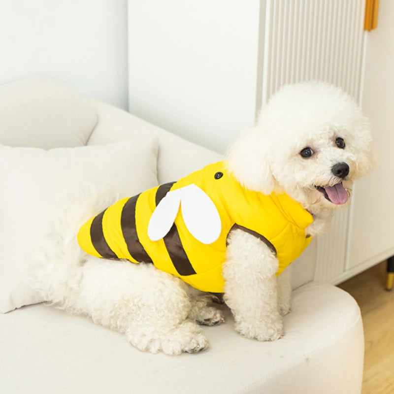 Dog clothes cat clothes bee four seasons warm pet waterproof clothes