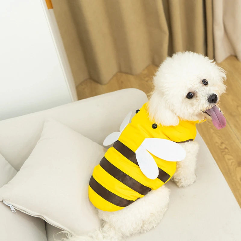 Dog clothes cat clothes bee four seasons warm pet waterproof clothes