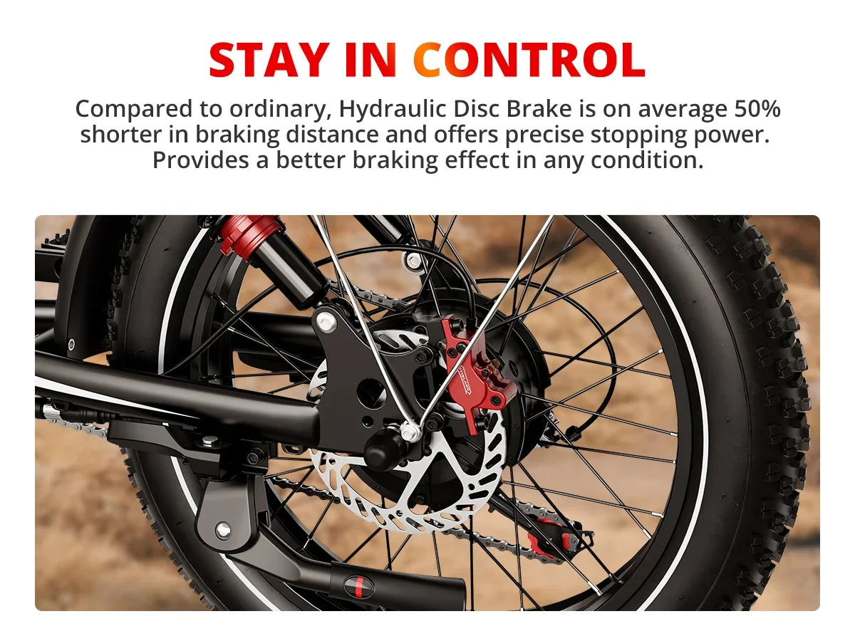 Ebike S8 2000W dual motor 48V 25AH 20-inch fat tires, front, rear shock absorption, with pedals.